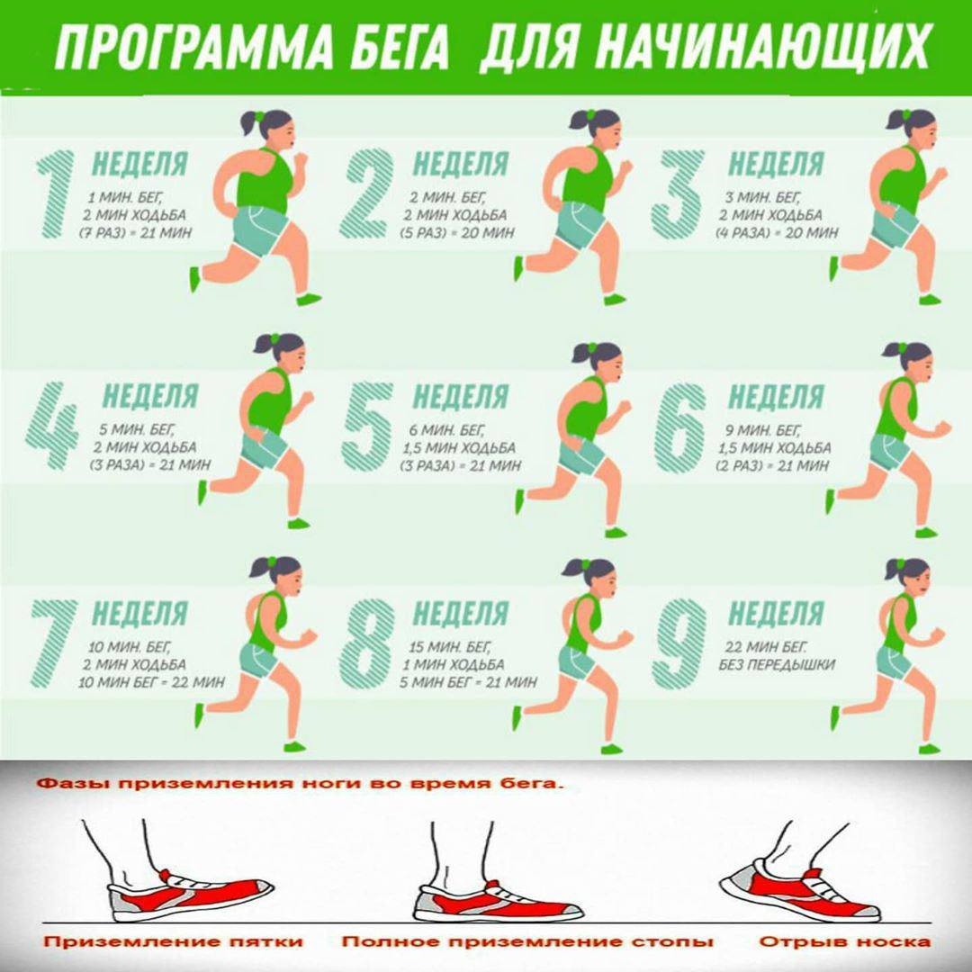 Как начать бегать по утрам с нуля. План тренировок бега для начинающих. План тренировок по бегу для начинающих. Схема бега для начинающих для похудения. Бег план тренировок для начинающих.