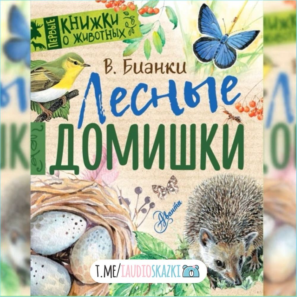 Лесные домишки. Лесные домишки Бианки читательский дневник. Лесные домишки АСТ. Лесные домишки Бианки герои. Бианки Лесная газета Лесные домишки.